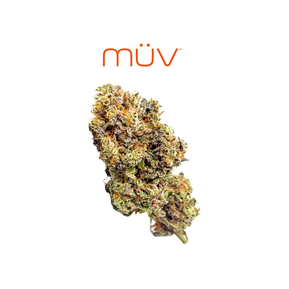 Buy MÜV Flower Sweet Apple Crumble Pie 3.5g image