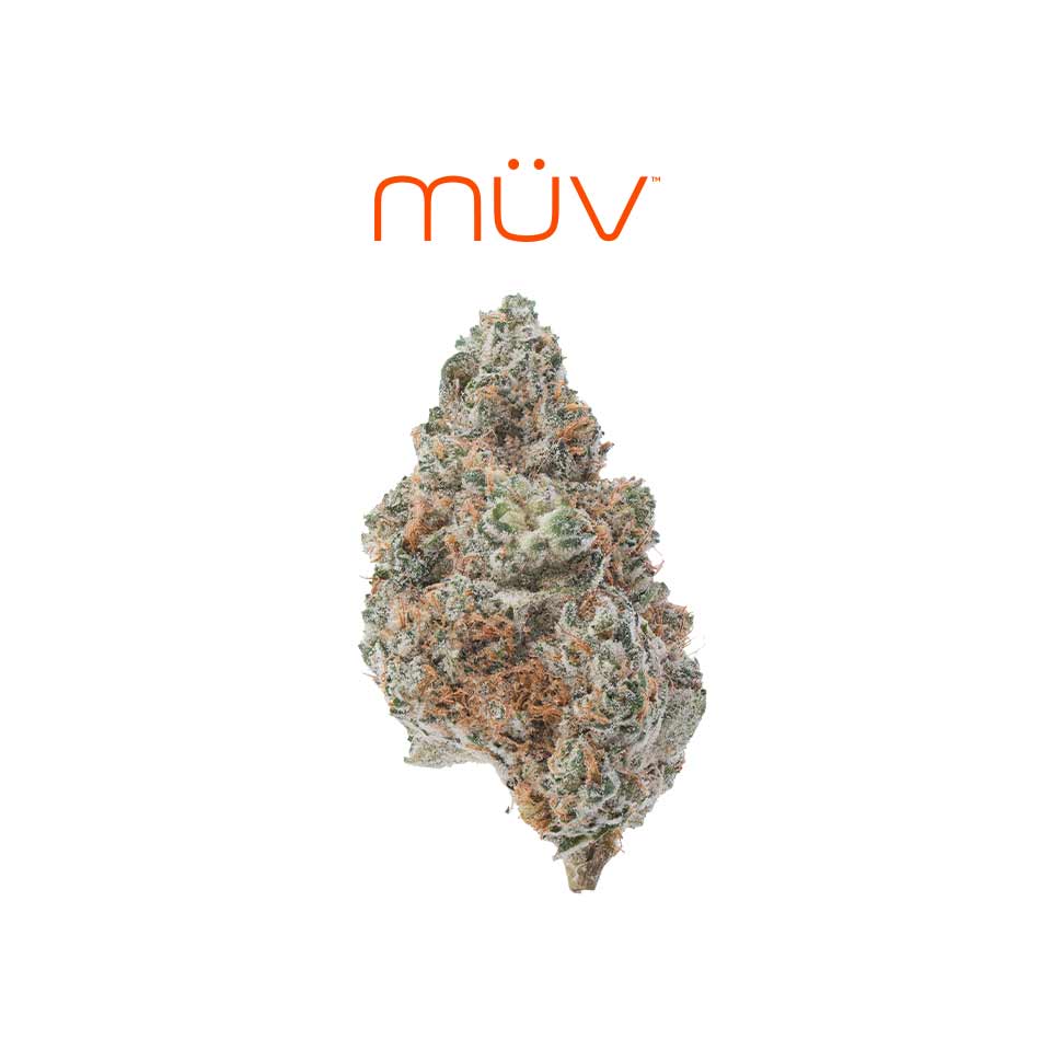 Buy MÜV Flower Mint Shake 3.5g image