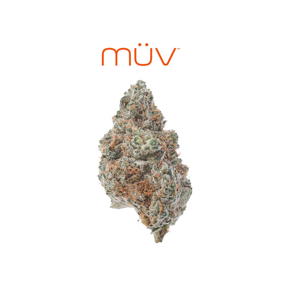 Buy MÜV Flower Mint Shake 3.5g image №0