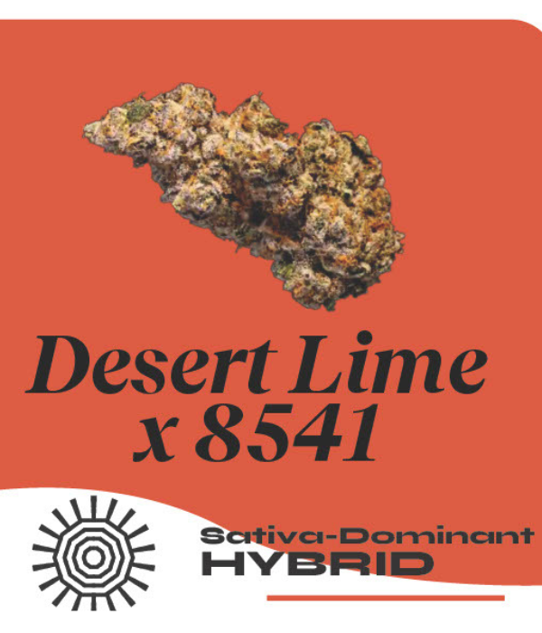 Desert Lime Kelly's Green