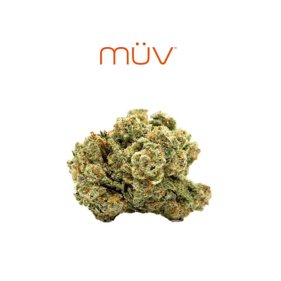 Buy MÜV Flower Triangle Kush 3.5g image