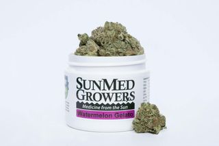 Watermelon Gelato SunMed Growers