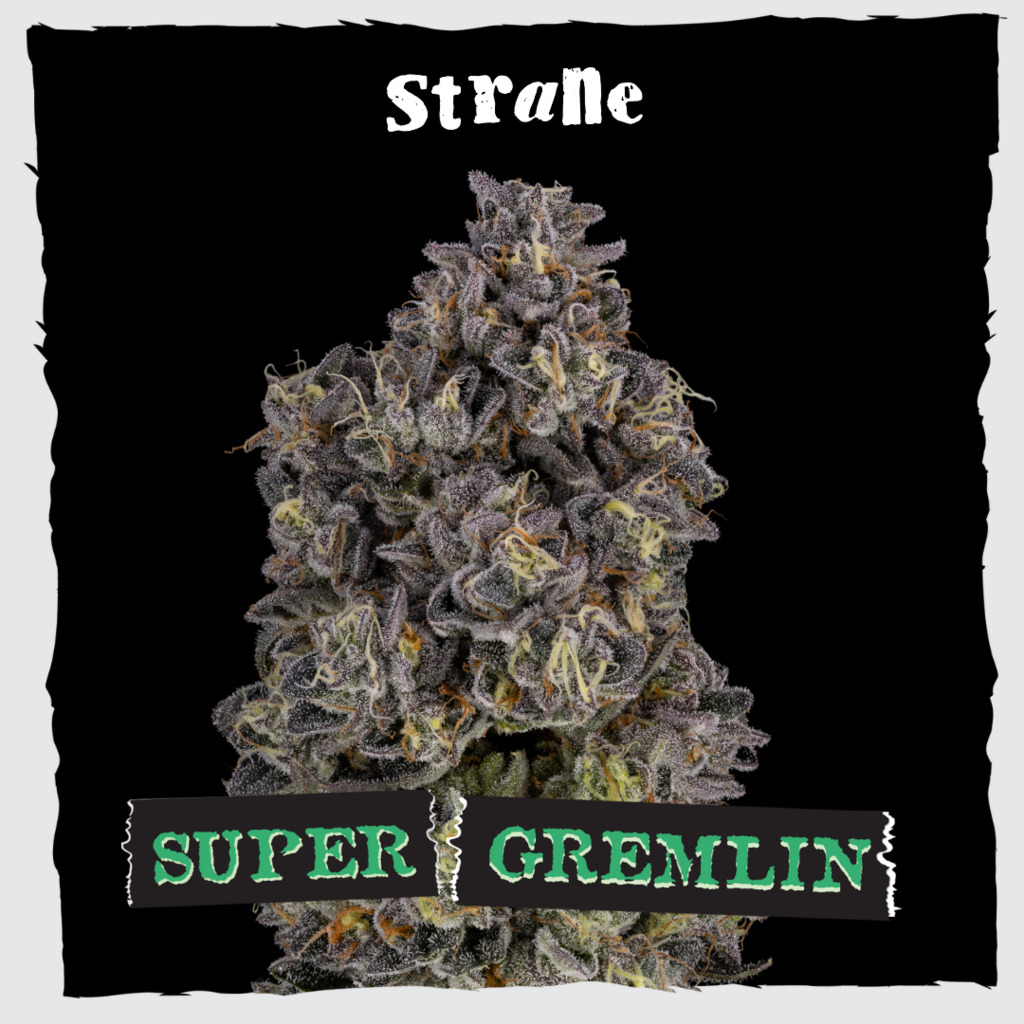 Buy Strane Flower Super Gremlin 3.5g image