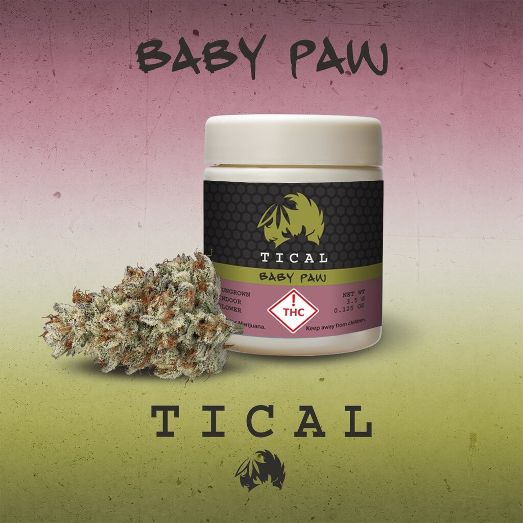 Baby Paw Tical