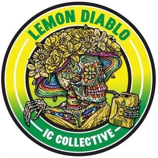 Lemon Diablo IC Collective