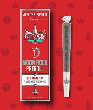 Strawberry Moonrock Presidential