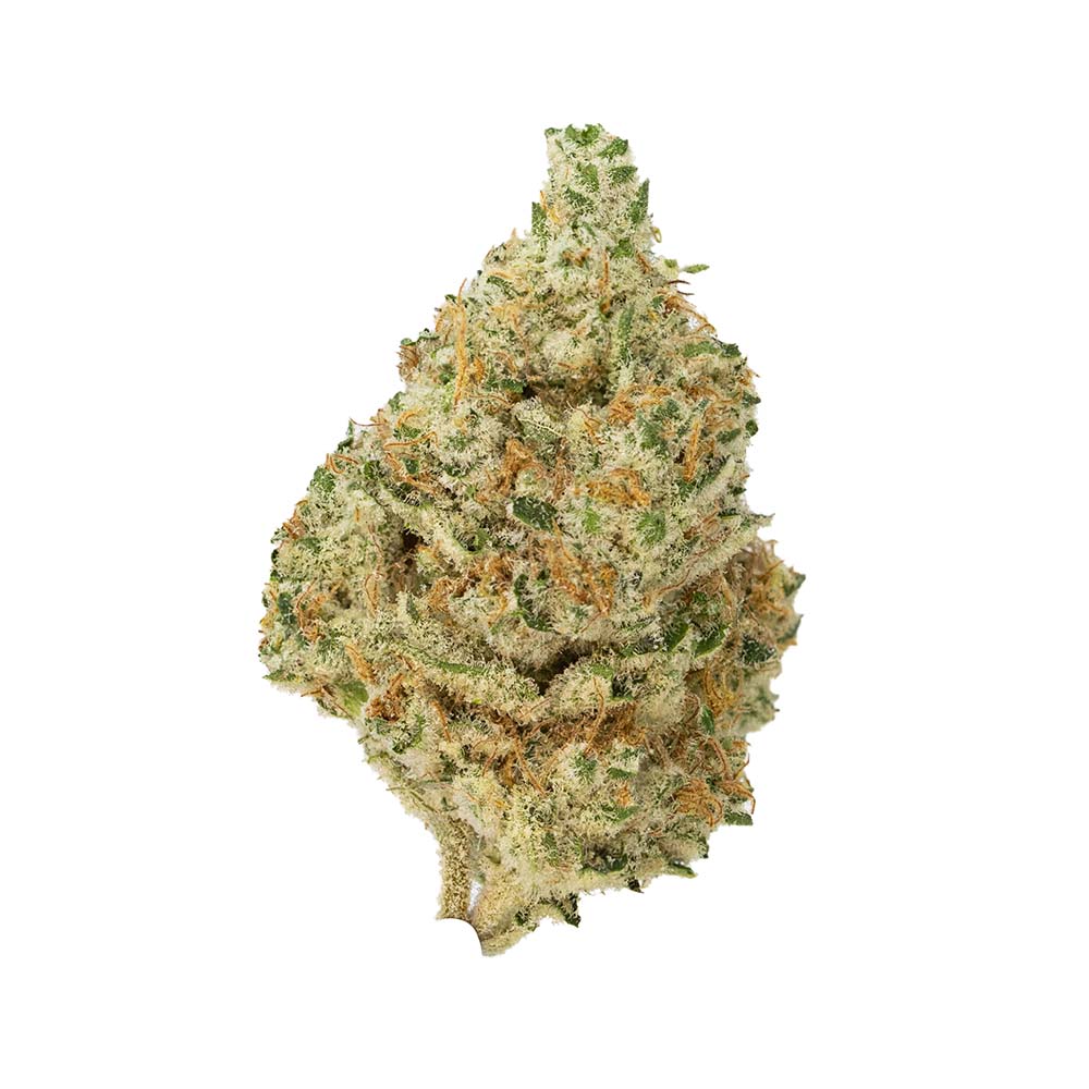 Headband Cookies Bold Cultivation