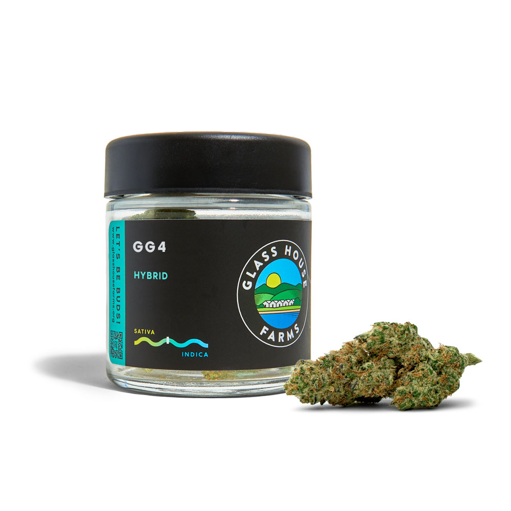 Glass House — Gg4