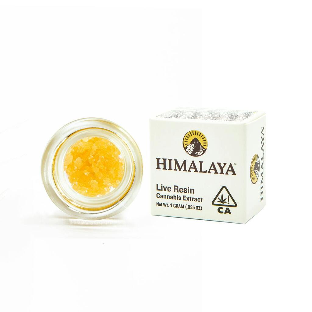 Buy Himalaya Concentrate  Blueberry Cookies Terp Sugar 1 G image