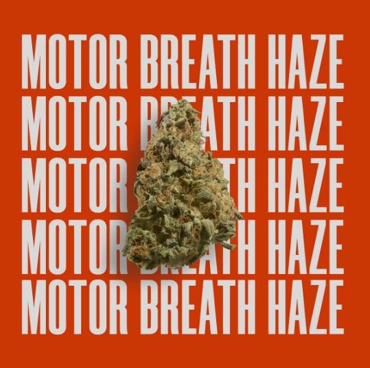 Motor Breath Haze Infused High Supply