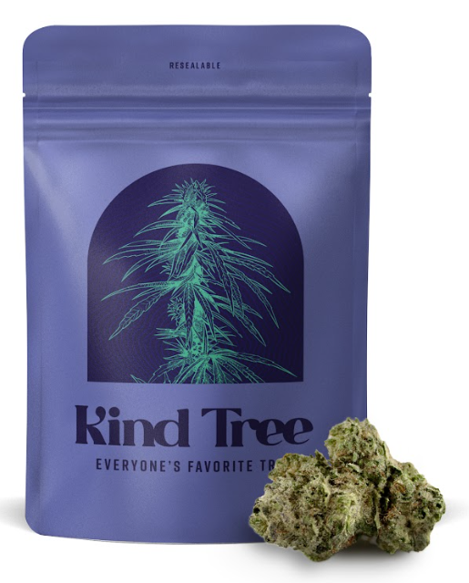 Buy Kind Tree Flower Dirty Taxi 3.5g image