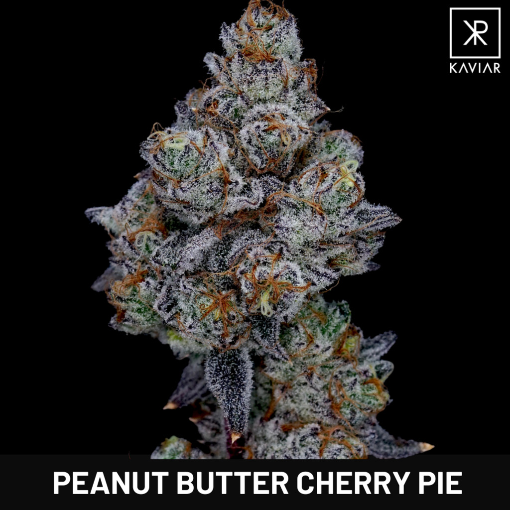 Peanut Butter Cherry Pie Kaviar