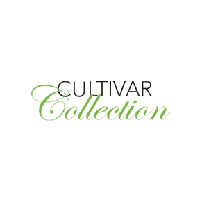 Fruit Cake Cultivar Collection