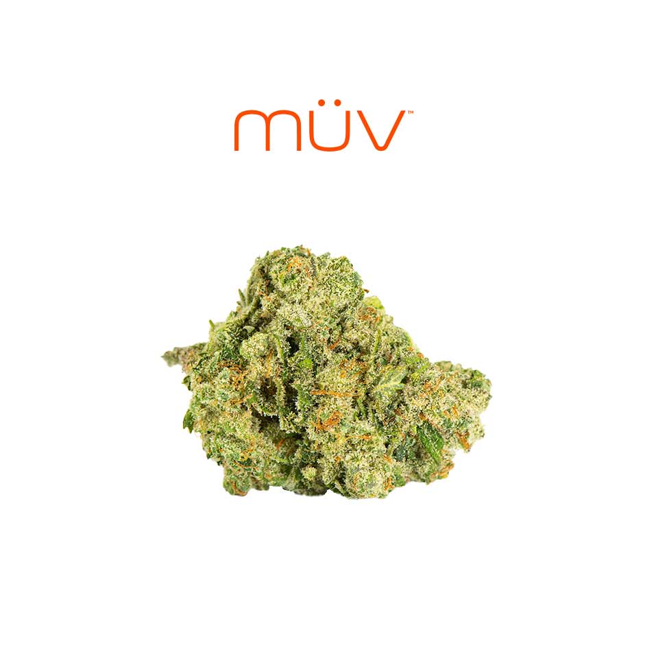 Buy MÜV Flower Gelato 3.5g image