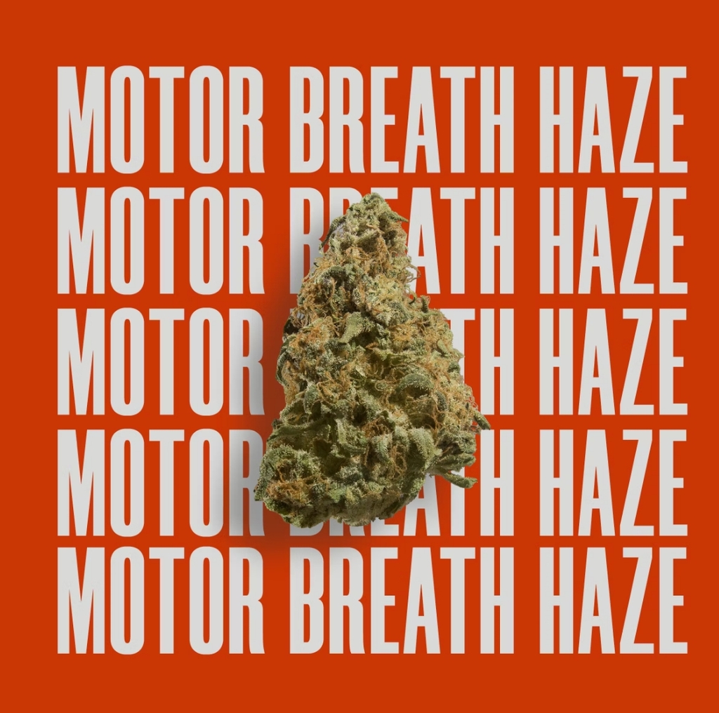 Motor Breath Haze High Supply