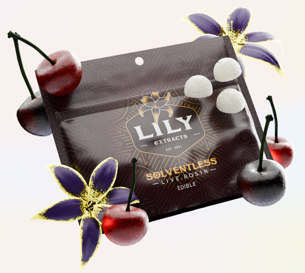 Buy Lily Extracts Edible Wild Cherry Cannapunch  10mg ea image