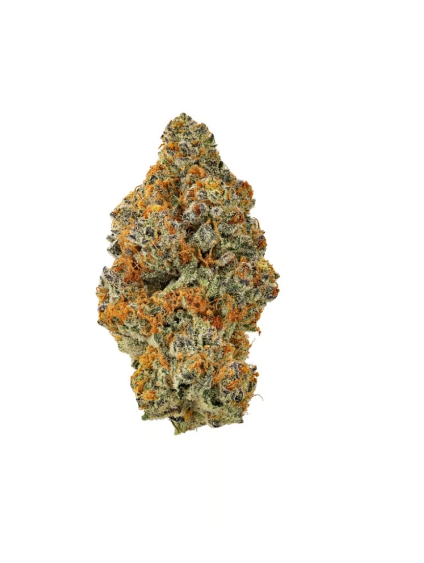 Buy Tales & Travels Flower Bionic Cheetah [7g] image