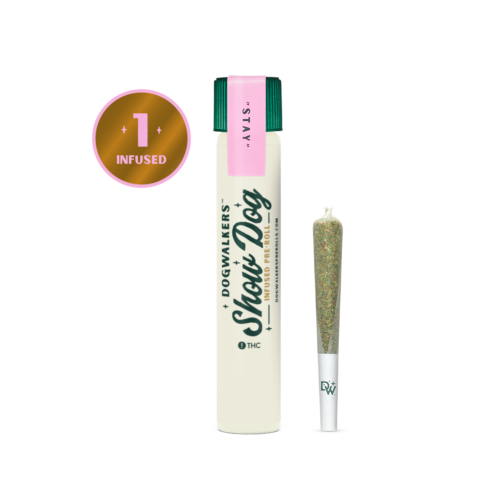 Buy Dogwalkers Pre-rolls Rainbow Zlushie (Stay) 1pk 1g image