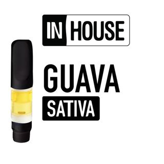 Guava In House
