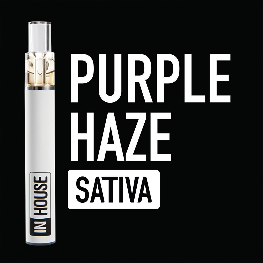 Purple Haze In House