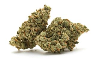 Peach Crescendo SunMed Growers