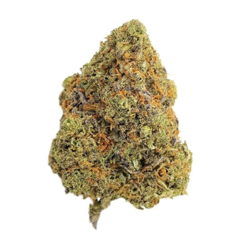 Buy SunMed Growers Flower Black Cherry Gelato 3.5g image