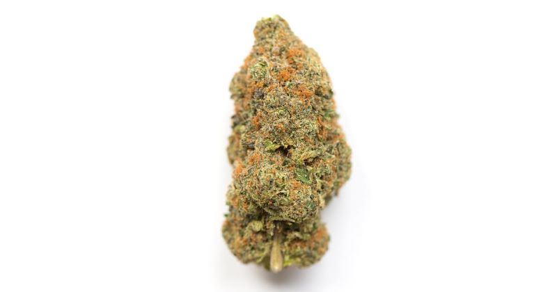 Buy SunMed Growers Flower The Beavs 3.5g image