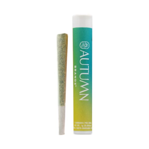 Buy Autumn Brands Pre-roll Chem-onatti Pre-Roll 1 G image