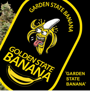 Golden State Banana  Garden State Banana