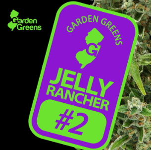 Jelly Rancher #2 Garden Greens