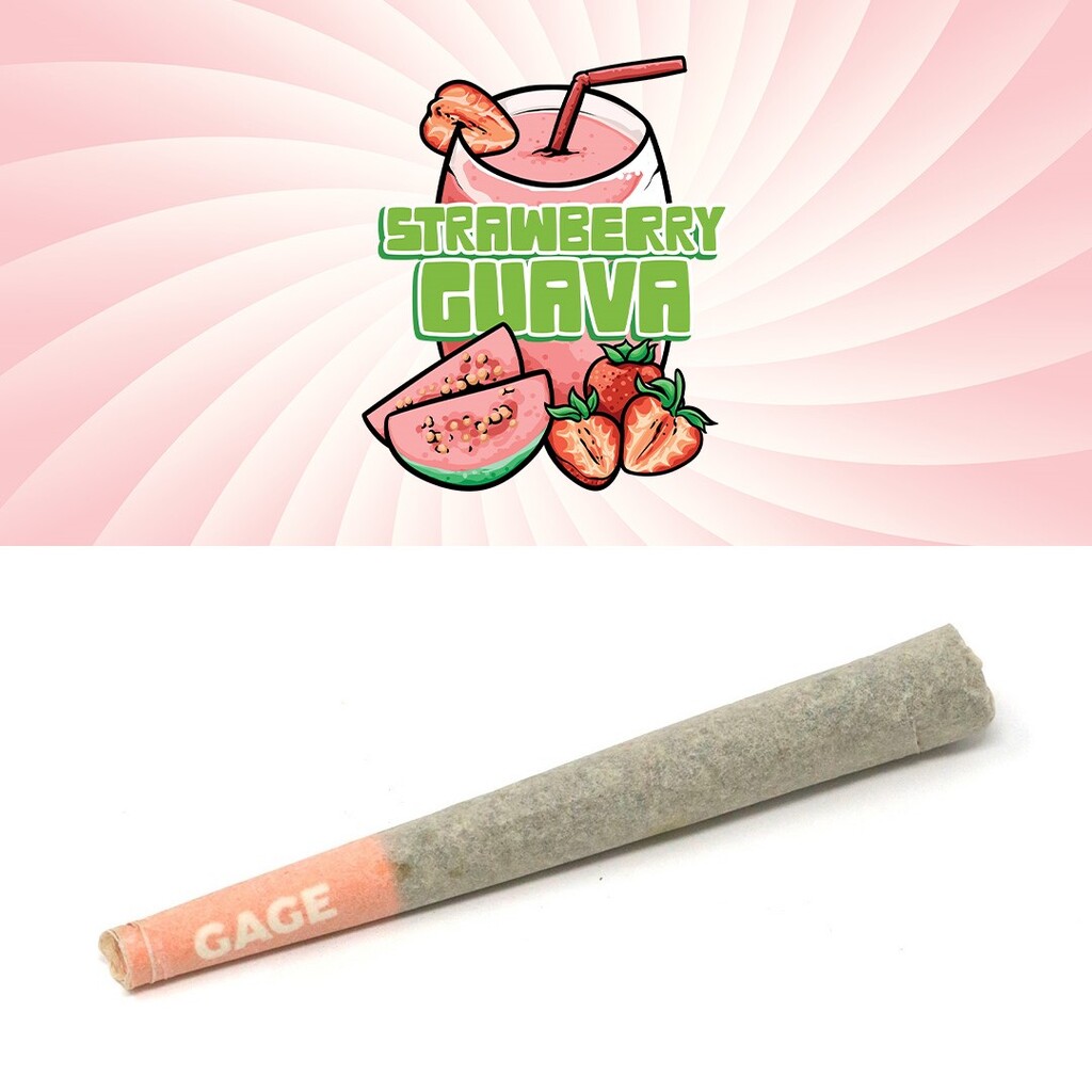 Buy Gage Pre-Roll Strawberry Guava 1 Pack x 1.0 g image