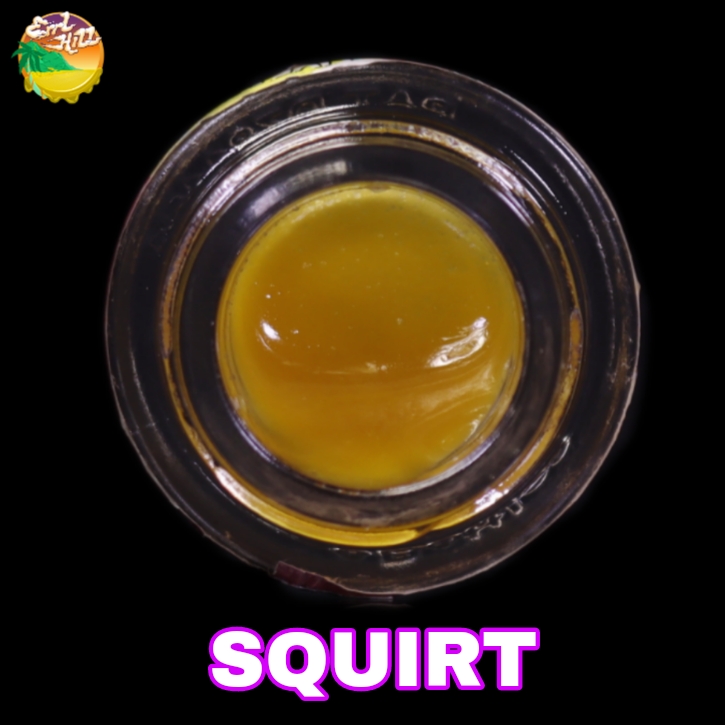 Buy Errl Hill Extract Squirt 1 g image