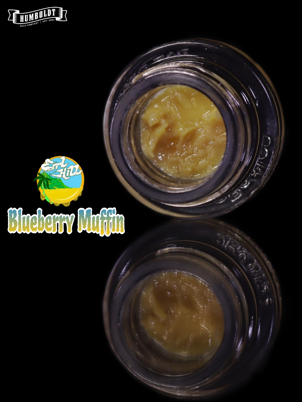 Buy Errl Hill Extract Blueberry Muffins 1 g image