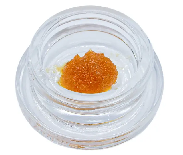 Jackie Glue Kodo Extracts