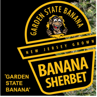 Buy Garden State Banana Flower Banana Sherbert 3.5g image