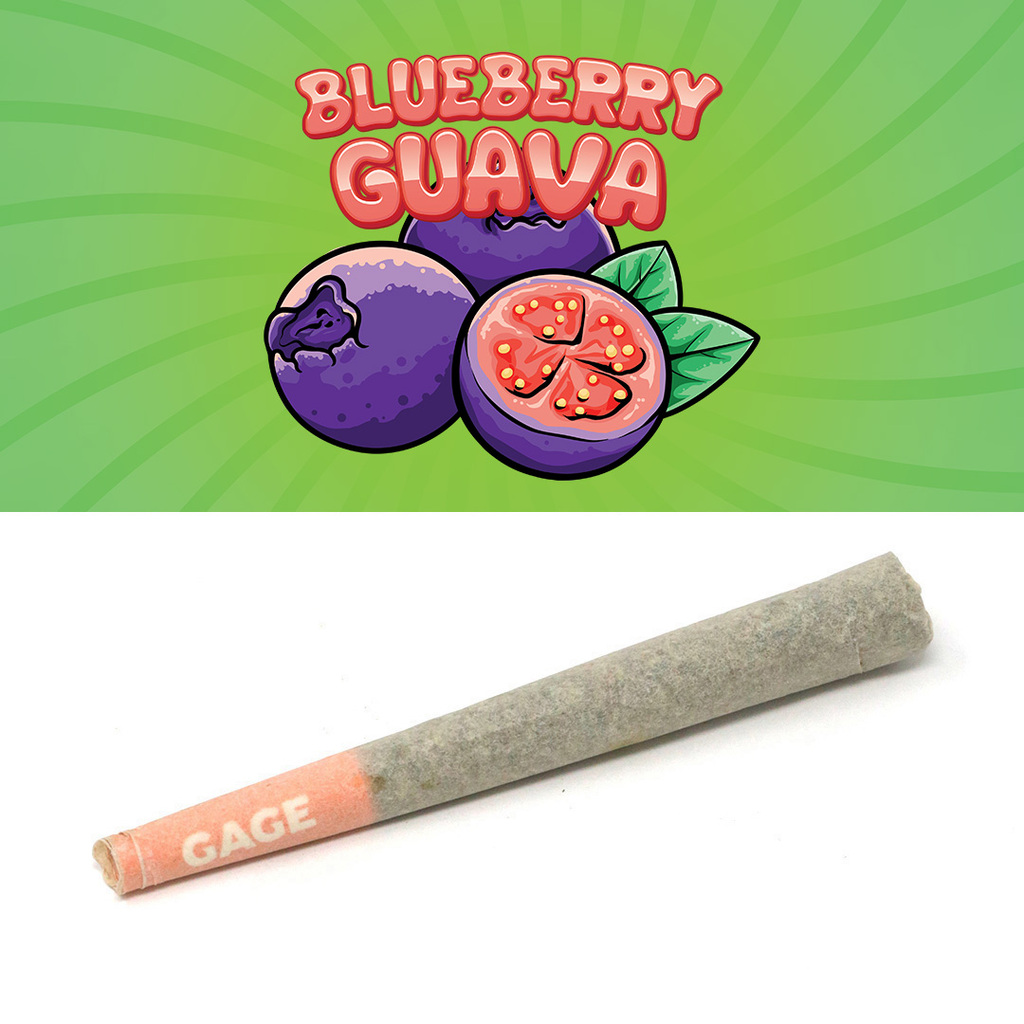 Blueberry Guava Gage