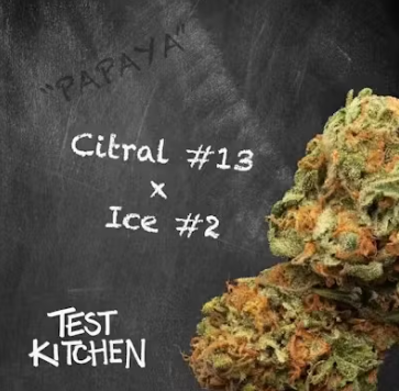 Buy Test Kitchen (Garden Greens) Flower Citral #13  X Ice #2 7g image