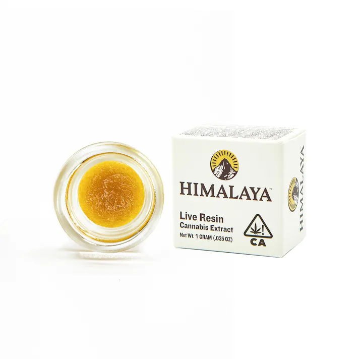 Buy Himalaya Concentrate Apple Gravity Terp Sauce 1 G image