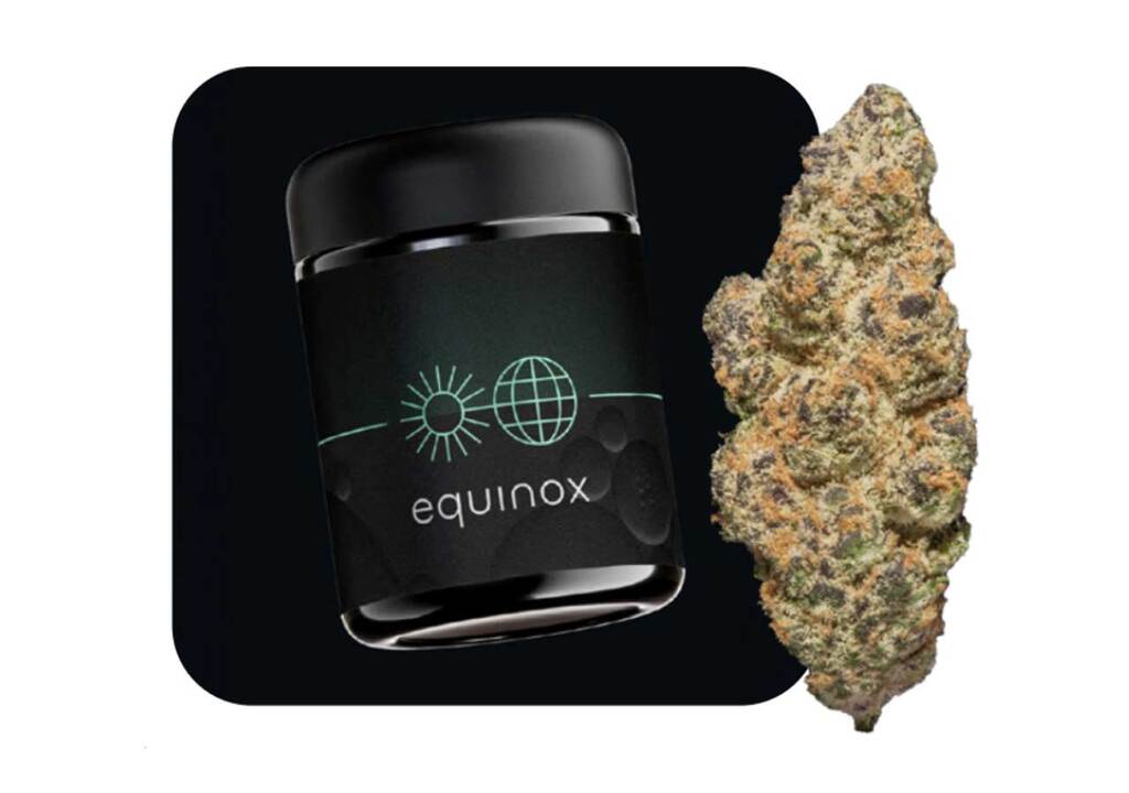 Black Cherry Cookies Equinox