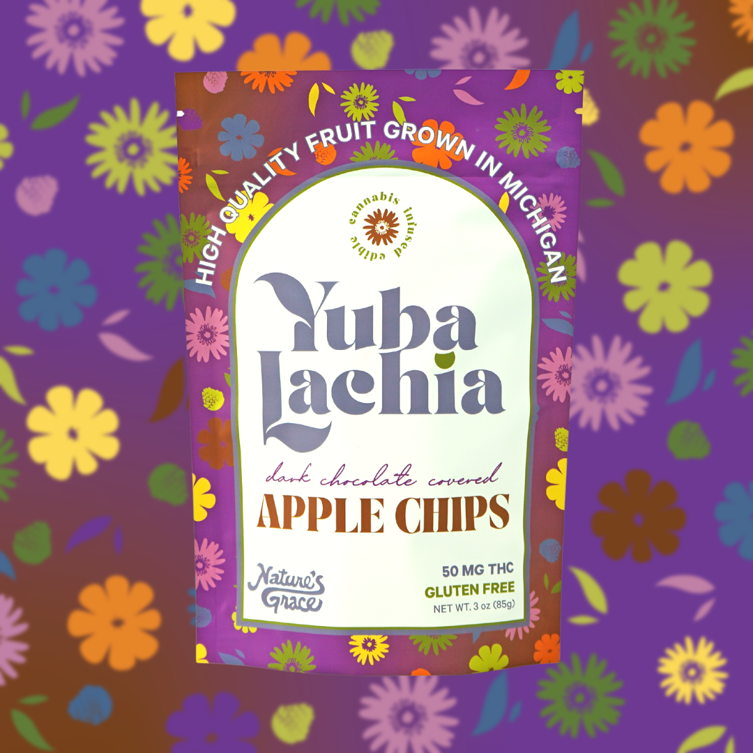 Dark Chocolate Covered Apple Chips Yubalachia