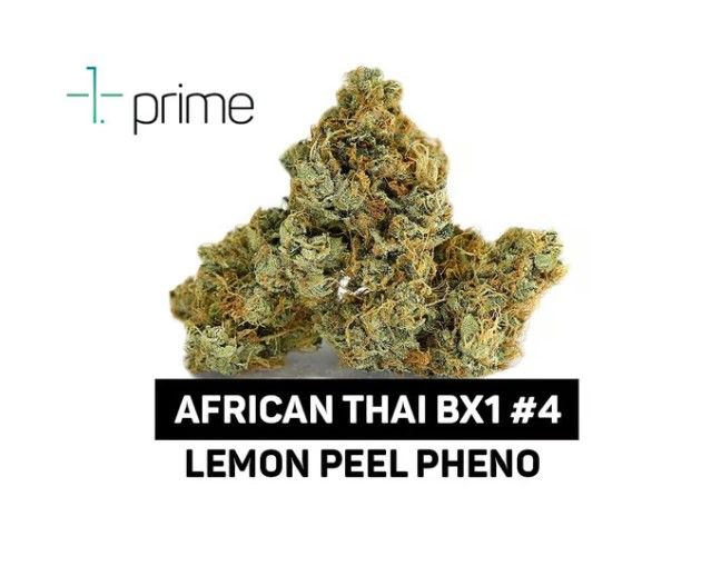 Prime Wellness African Thai BX1 #4 Flower, 7g