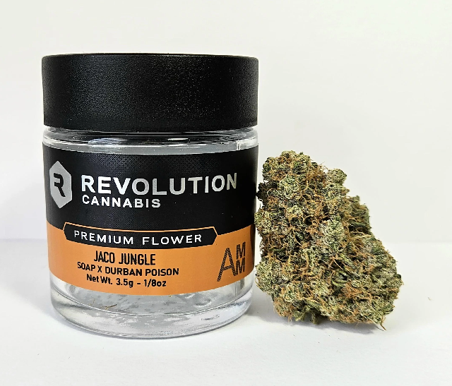 JACO Jungle Revolution Cannabis