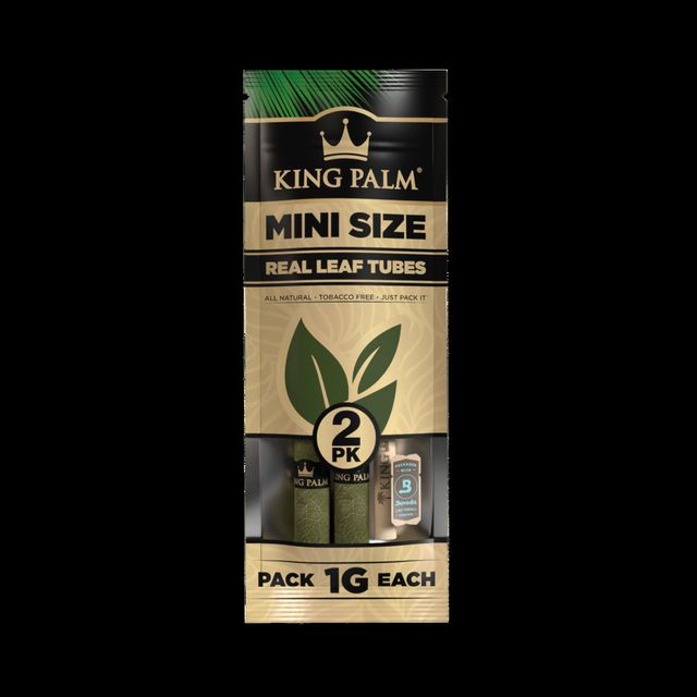 Mini Natural  King Palm