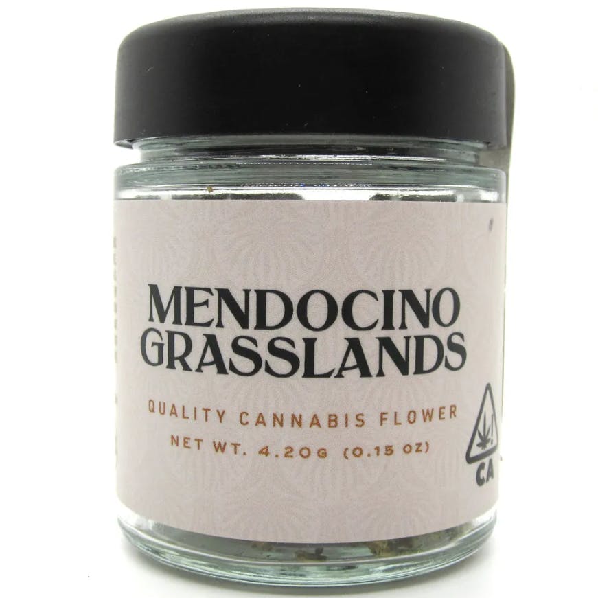 Buy Mendocino Grasslands Flower Caribbean Cookies 4.2G image