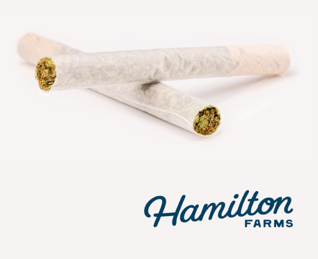 Buy Hamilton Farms Pre-Roll Russian Snow 1G  image №0