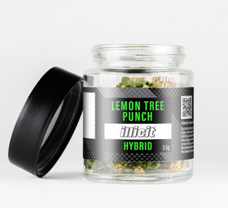 Lemon Tree Punch illicit
