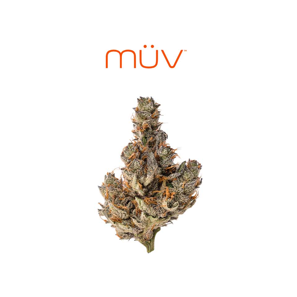 Buy MÜV Flower Gelanoidz #4 3.5g image