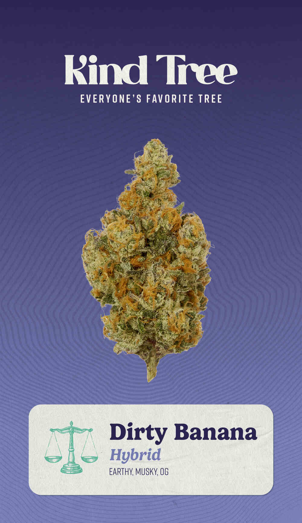 Buy Dirty Banana | 3.5g | Kind Tree | Cannabis Lodi