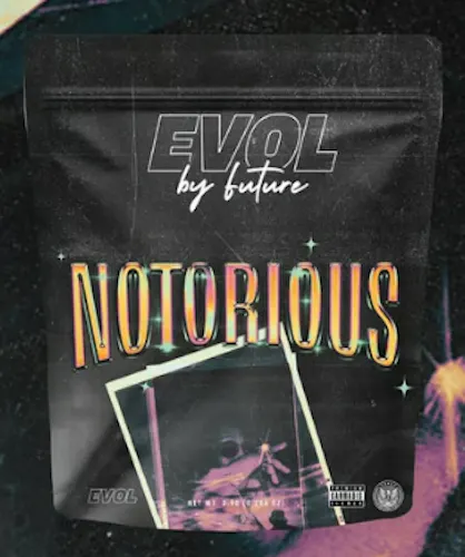 Buy EVOL Flower Notorious #1 3.5g image