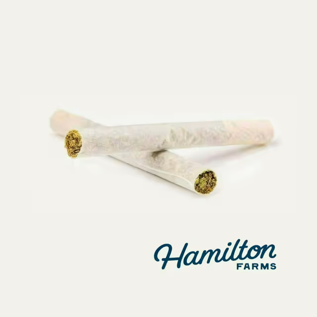 Garlic Knots | 1g 2pk Pre-Rolls Hamilton Farms